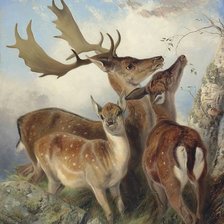 Схема вышивки «№2505745»