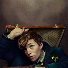 Схема вышивки «Фантастические твари и где они обитают»