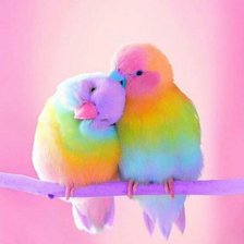 Схема вышивки «Попугайчики»