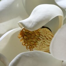 Схема вышивки «Благородный белый»