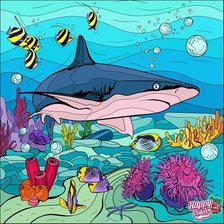 Схема вышивки «Акула»