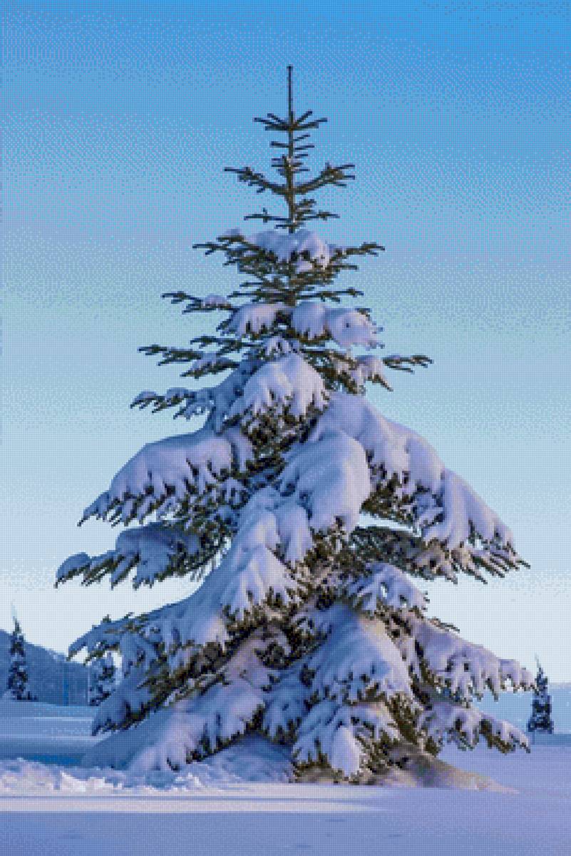 №2506160 - предпросмотр