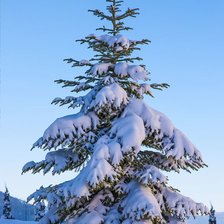 Схема вышивки «№2506160»