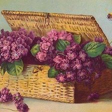 Схема вышивки «Фиалки в карзине»