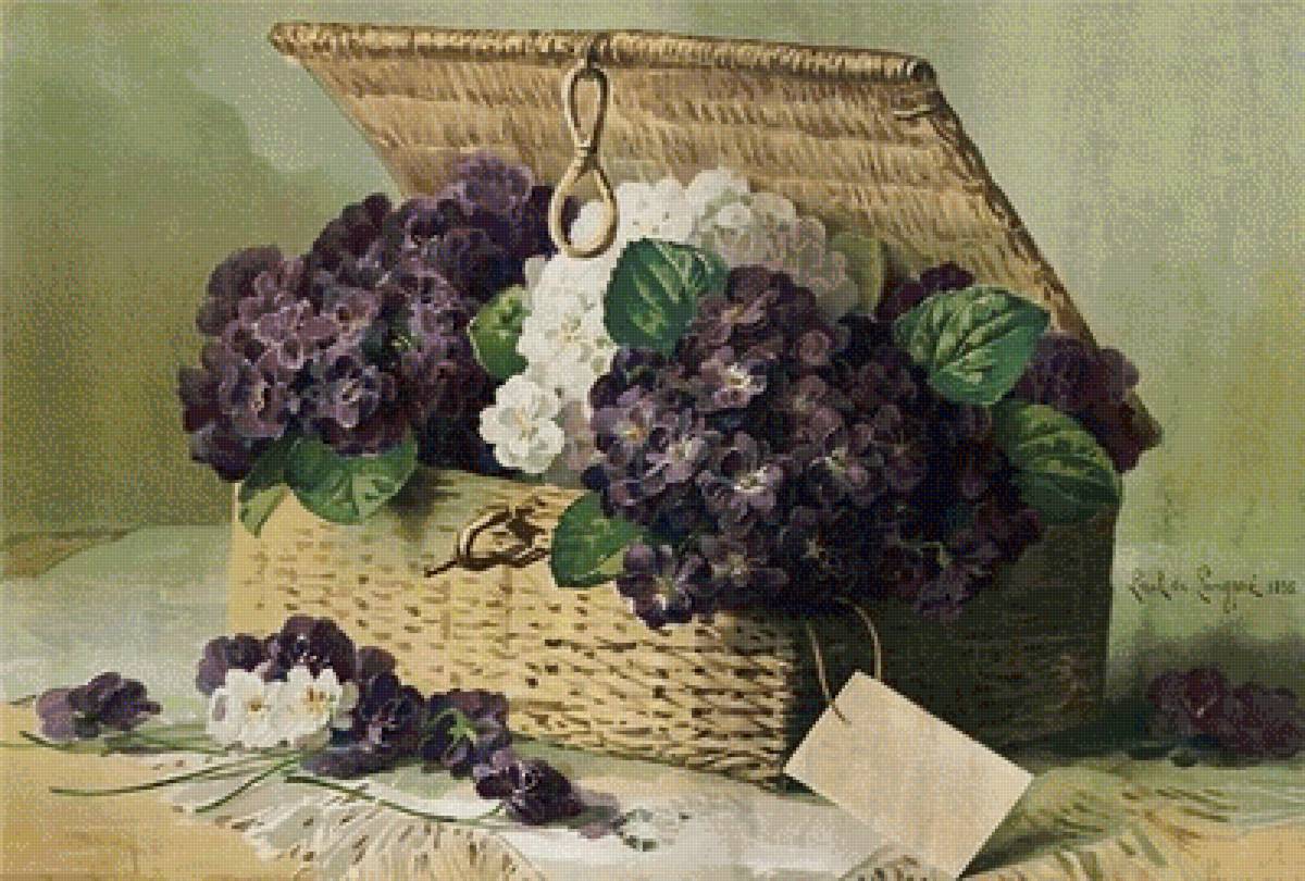 Фиалки в карзине - карзина, фиалки, письмо - предпросмотр