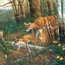 Схема вышивки «№2506224»