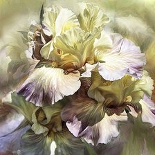 Схема вышивки «Ирисы»