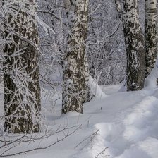 Схема вышивки «№2506452»