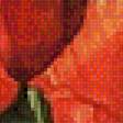 Предпросмотр схемы вышивки «Красные маки» (№2506917)