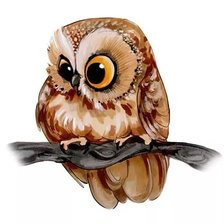 Схема вышивки «Сова»