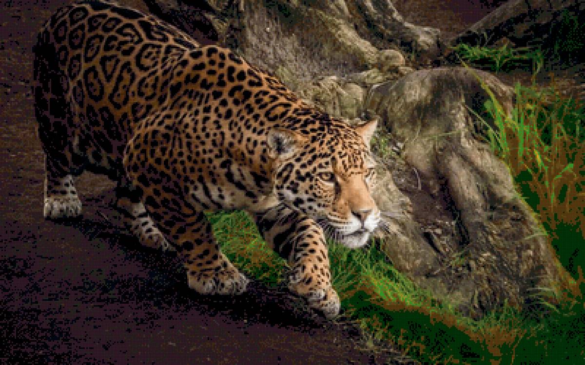 №2507147 - предпросмотр