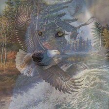 Схема вышивки «№2507167»