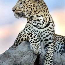 Схема вышивки «№2507175»