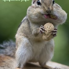 Схема вышивки «№2507196»