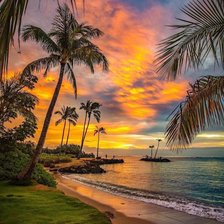 Схема вышивки «costa»