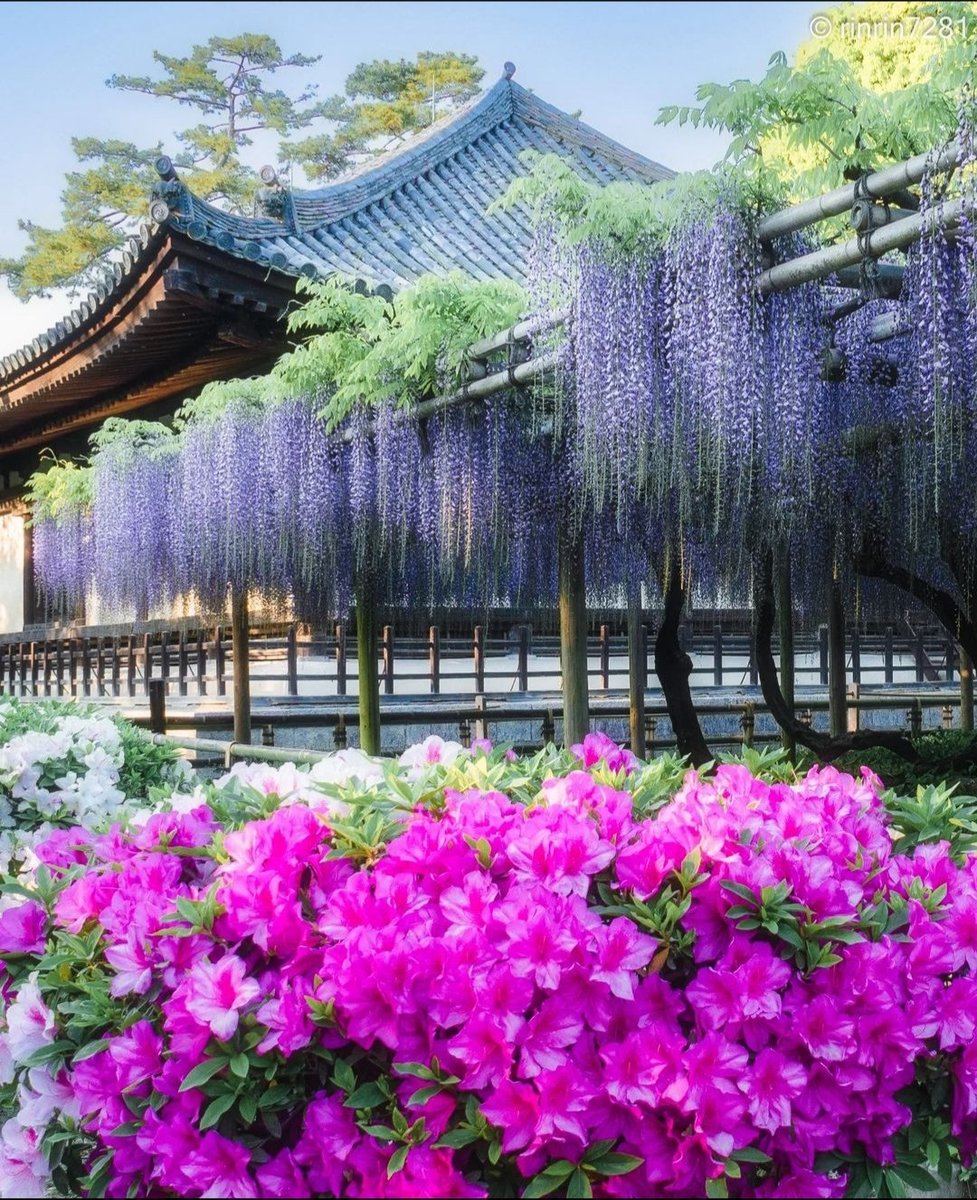 paisaje bvc - paisaje - оригинал