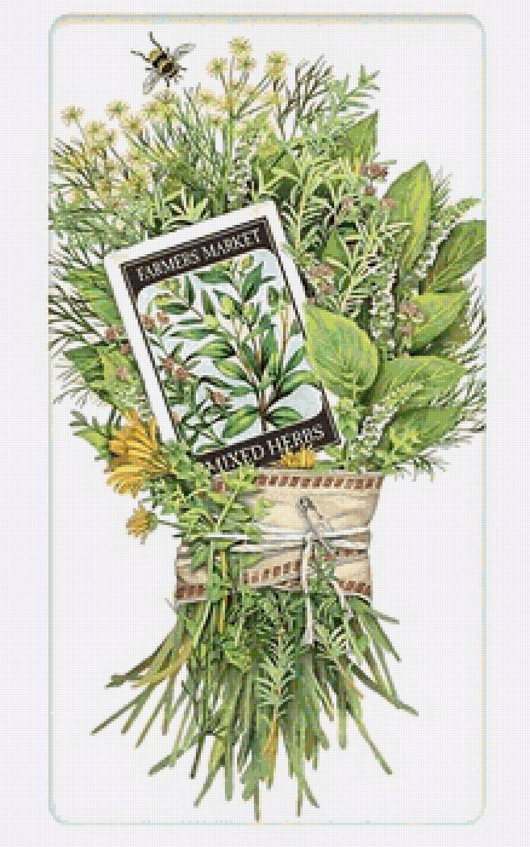 bylinky - предпросмотр