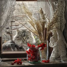 Схема вышивки «Что это?»