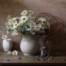 Схема вышивки «Ромашки»