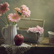 Схема вышивки «Герберы»