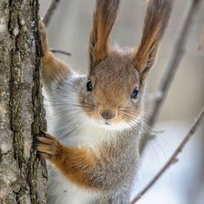 Схема вышивки «№2508244»