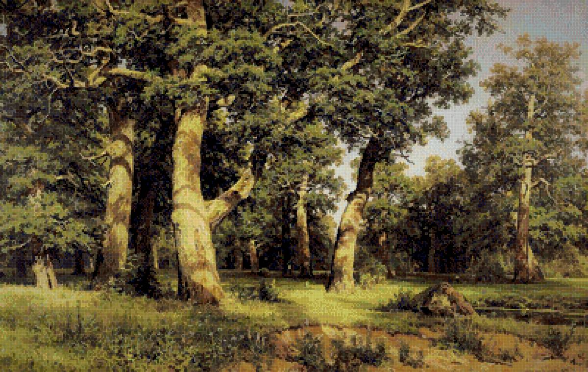 Дубрава Шишкин - дубрава шишкин - предпросмотр