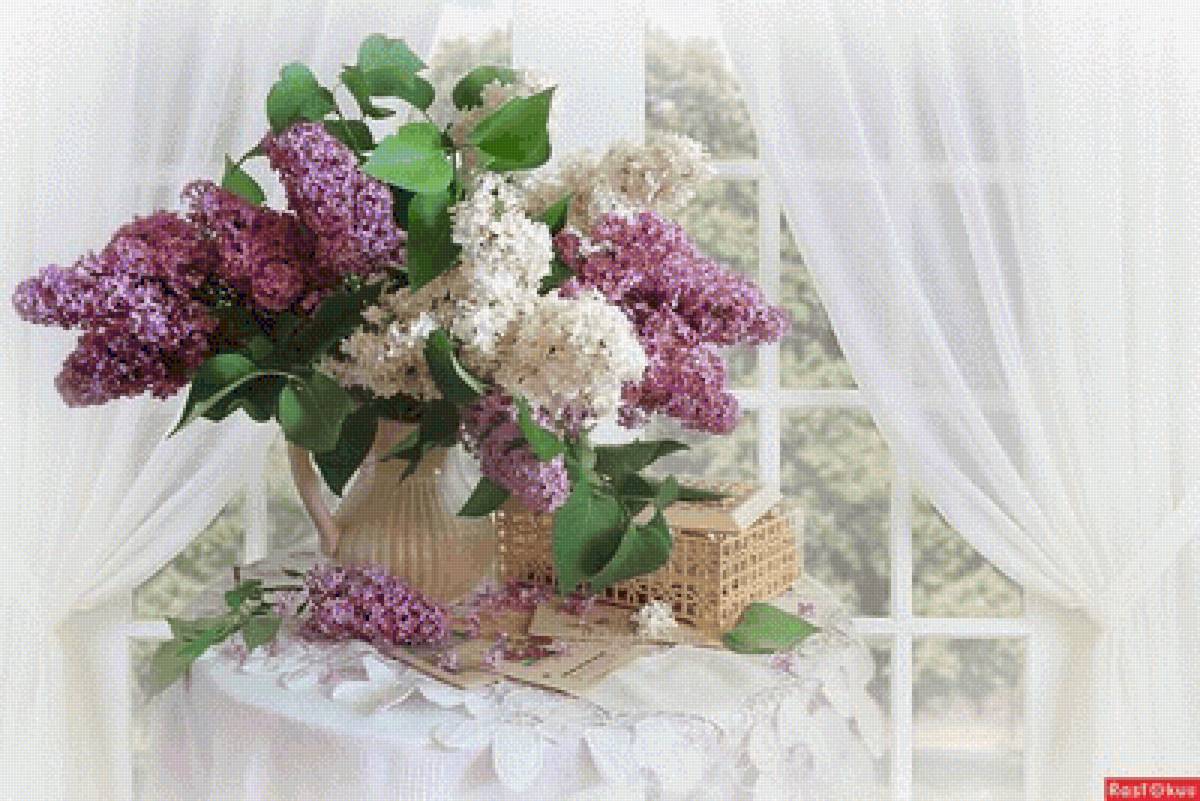 №2508295 - предпросмотр