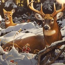 Схема вышивки «№2508470»