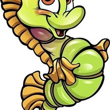 Морской конёк