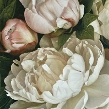 Схема вышивки «Белые пионы»