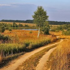 Схема вышивки «№2508725»