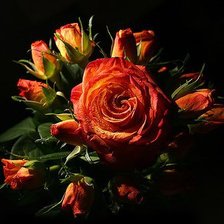 Схема вышивки «Букет роз на черном»