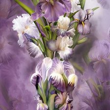 Схема вышивки «Ирисы»