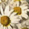 Предпросмотр схемы вышивки «Ромашки» (№2508945)