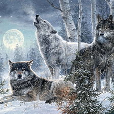 Схема вышивки «№2509411»