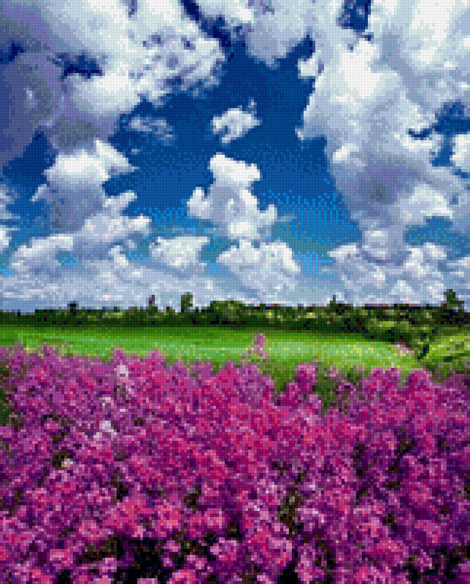 Яркая природа - поле, небо, пейзаж, природа - предпросмотр