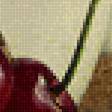 Предпросмотр схемы вышивки «Черешня» (№2509562)