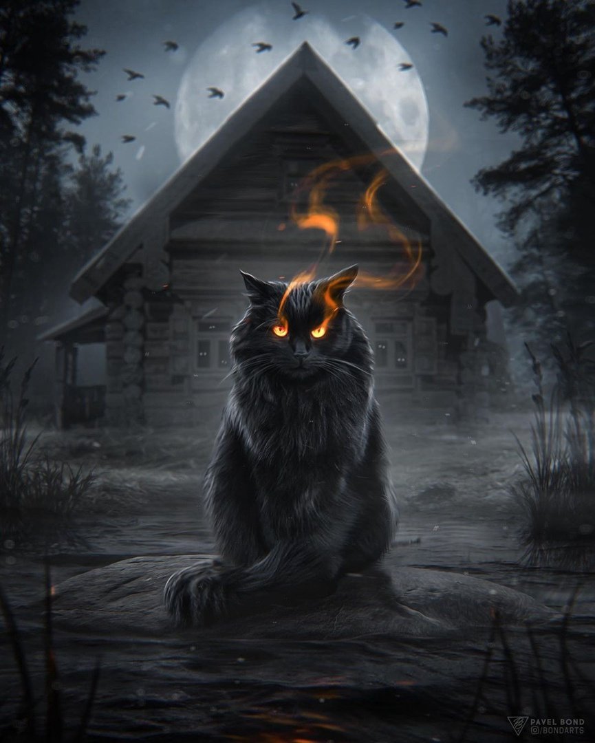 Ведьмин котик - оригинал