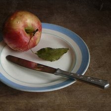 Схема вышивки «На блюдечке с голубой каемочкой»