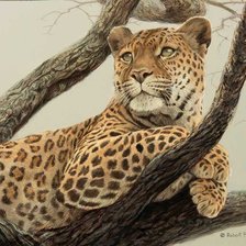 Схема вышивки «№2510016»