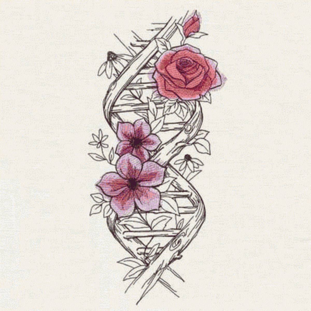 №2510067 - предпросмотр