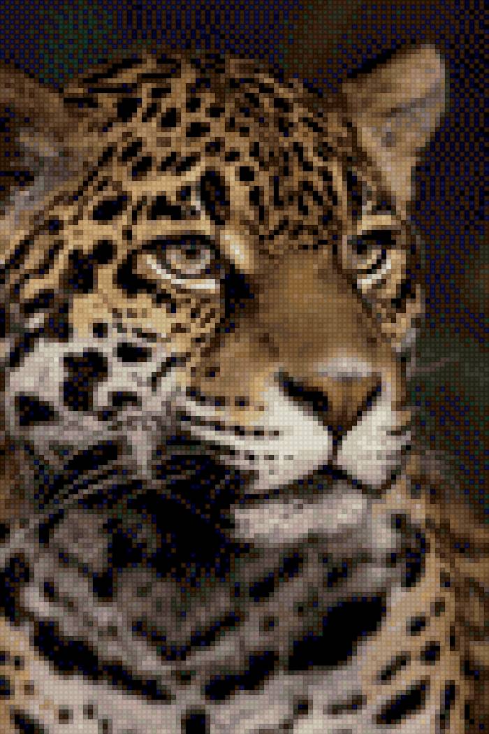 hổ - động vật - предпросмотр