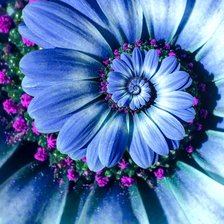 Схема вышивки «Цветок»