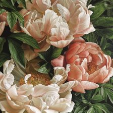 Схема вышивки «Пионы»