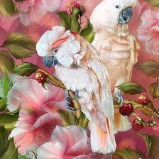 Схема вышивки «Пара»