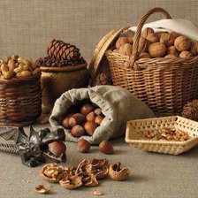 Схема вышивки «Ореховый спас»