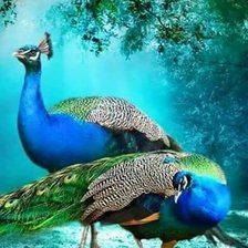 Схема вышивки «№2511353»