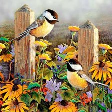 Схема вышивки «Птицы»