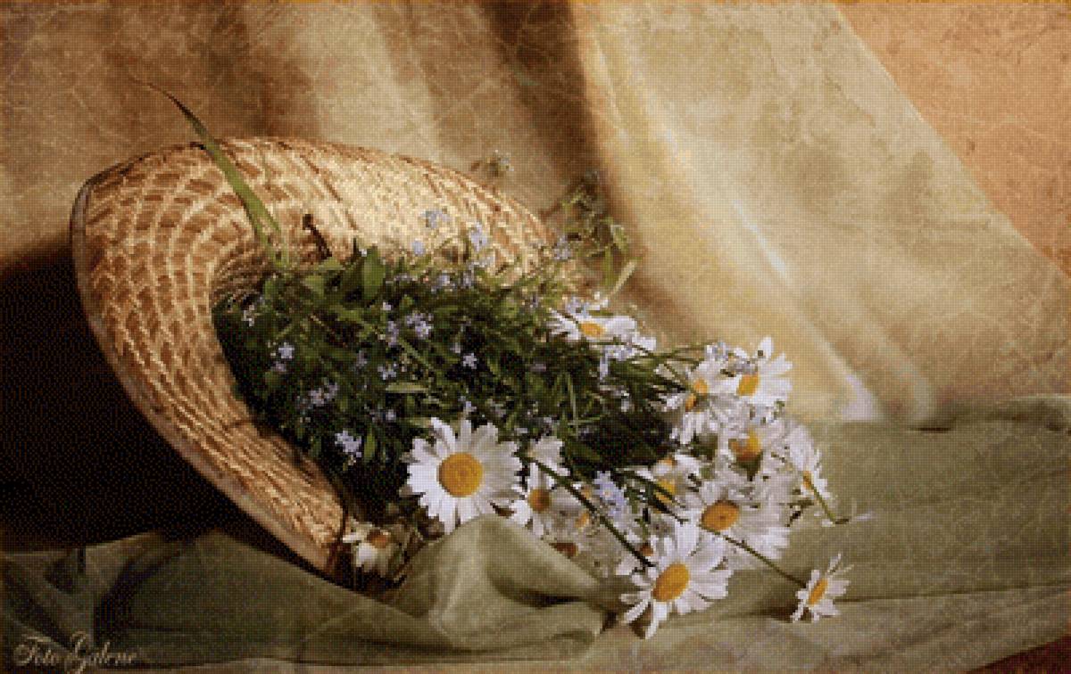 Ромашки в шляпе - ромашки, шляпа, натюрморт, цветы, букет - предпросмотр