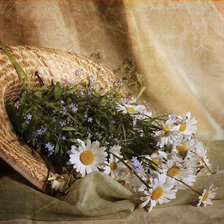 Схема вышивки «Ромашки в шляпе»